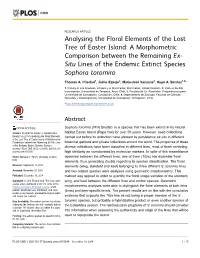Analysing the Floral Elements of the Lost Tree Of