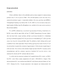 Design and Methods Antibodies