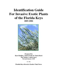 Identification Guide for Invasive Exotic Plants of the Florida Keys 2005-2006