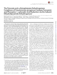 Ketoglutarate Dehydrogenase Complexes of Pseudomonas