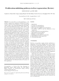 Proliferation‑Inhibiting Pathways in Liver Regeneration (Review)