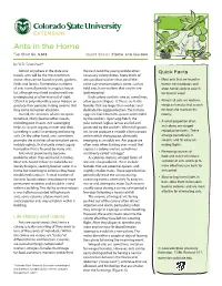 Ants in the Home Fact Sheet No
