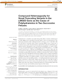 Compound Heterozygosity for Novel Truncating Variants in the LMOD3 Gene As the Cause of Polyhydramnios in Two Successive Fetuses