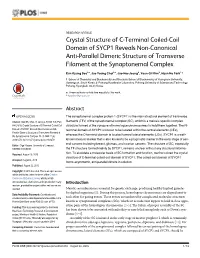 Crystal Structure of C-Terminal Coiled-Coil Domain of SYCP1 Reveals Non-Canonical Anti-Parallel Dimeric Structure of Transverse Filament at the Synaptonemal Complex
