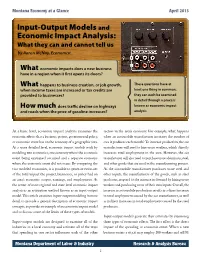 Input-Output Models and Economic Impact Analysis: What They Can and Cannot Tell Us by Aaron Mcnay, Economist