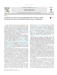 A Window Into Visual Cortex Development and Recovery of Vision: Introduction to the Vision Research Special Issue on Amblyopia