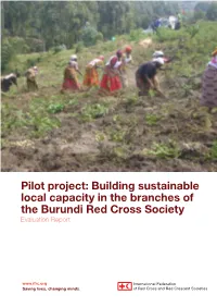 Building Sustainable Local Capacity in the Branches of the Burundi Red Cross Society Evaluation Report