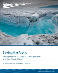 Saving the Arctic the Urgent Need to Cut Black Carbon Emissions and Slow Climate Change