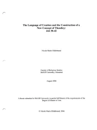The Language of Creation and the Construction of a New Concept of Theodicy: Job 38-42