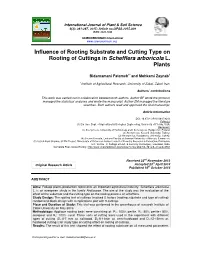 Influence of Rooting Substrate and Cutting Type on Rooting of Cuttings in Schefflera Arboricola L