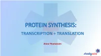 Protein Synthesis: Transcription + Translation