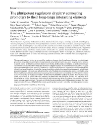 The Pluripotent Regulatory Circuitry Connecting Promoters to Their Long-Range Interacting Elements