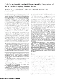Cell Cycle–Specific and Cell Type–Specific Expression of Rb in The