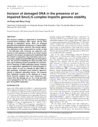 Incision of Damaged DNA in the Presence of an Impaired Smc5/6 Complex Imperils Genome Stability Jie Peng and Wenyi Feng*