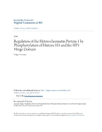 Regulation of the Heterochromatin Protein 1 by Phosphorylation of Histone H3 and the HP1 Hinge Domain Holger Dormann