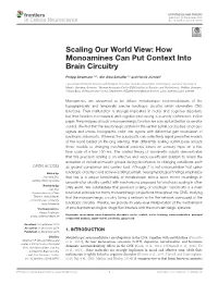 Scaling Our World View: How Monoamines Can Put Context Into Brain Circuitry