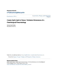 Trinitarian Dimensions of a Charitological Pneumatology