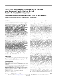 Sox10 Has a Broad Expression Pattern in Gliomas and Enhances Platelet-Derived Growth Factor-B–Induced Gliomagenesis