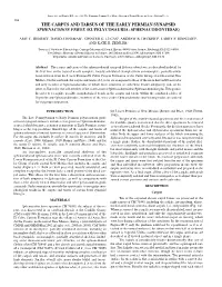 The Carpus and Tarsus of the Early Permian Synapsid Sphenacodon Ferox (Eupelycosauria: Sphenacodontidae)