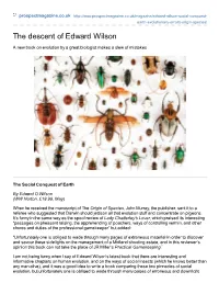 The Descent of Edward Wilson