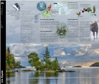 Isle Royale Unigrid Side 1