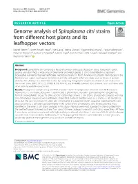 Genome Analysis of Spiroplasma Citri Strains from Different Host Plants