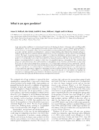 What Is an Apex Predator?