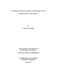 PATTERNS of Litmc RAW MATERIAL PROCUREMENT on THE