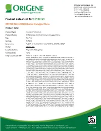 RNF213 (NM 020954) Human Untagged Clone Product Data