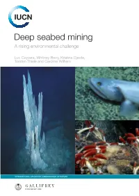 Deep Sea Mining