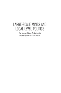 LARGE-SCALE MINES and LOCAL-LEVEL POLITICS Between New Caledonia and Papua New Guinea