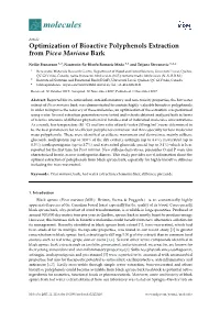 Optimization of Bioactive Polyphenols Extraction from Picea Mariana Bark