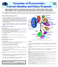Taxonomy of Picornaviridae: Current Situation and Future Proposals