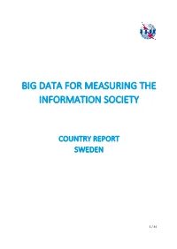 Big Data for Measuring the Information Society