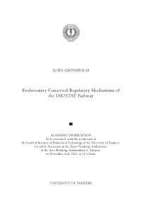 Evolutionary Conserved Regulatory Mechanisms of the JAK/STAT Pathway