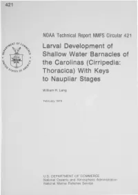 Larval Development of Shallow Water Barnacles of the Carolinas (Cirripedia: Thoracica) with Keys to Naupliar Stages