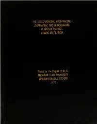 Thesis for the Degree MM. 3. ' WARREN DOUG STEVENS