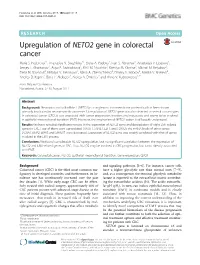Upregulation of NETO2 Gene in Colorectal Cancer Maria S