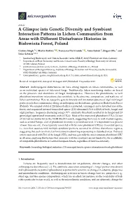 A Glimpse Into Genetic Diversity and Symbiont Interaction Patterns in Lichen Communities from Areas with Diﬀerent Disturbance Histories in Białowie˙Zaforest, Poland