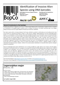 Identification of Invasive Alien Species Using DNA Barcodes
