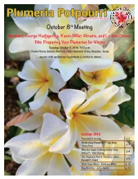October 8Th Meeting