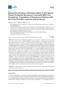 Immunolocalization of Keratan Sulfate in Rat Spinal Tissues Using