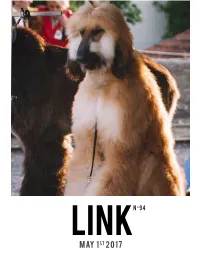 LINK Template