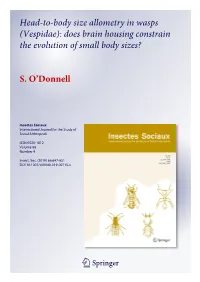 Head-To-Body Size Allometry in Wasps (Vespidae): Does Brain Housing Constrain the Evolution of Small Body Sizes?