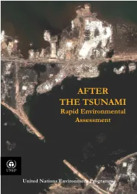 Tsunami Foreword Layout