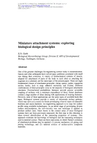 Miniature Attachment Systems: Exploring Biological Design Principles