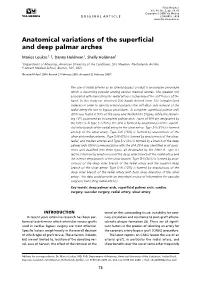 Anatomical Variations of the Superficial and Deep Palmar Arches