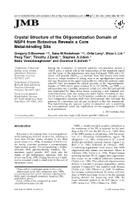 Crystal Structure of the Oligomerization Domain of NSP4 from Rotavirus Reveals a Core Metal-Binding Site