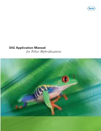 DIG Application Manual for Filter Hybridization.Indb
