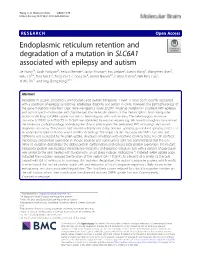 Endoplasmic Reticulum Retention and Degradation of a Mutation In